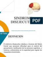 Síndrome disejecutivo: causas, características y subtipos