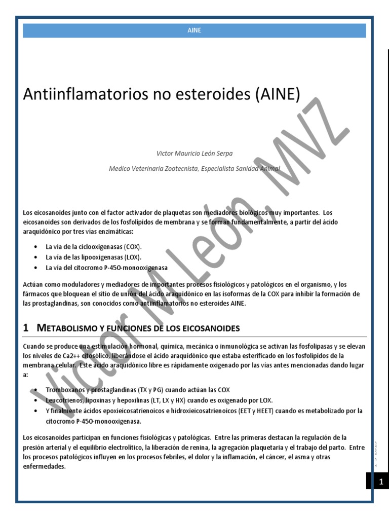 Antiinflamatorios No Esteroides 20162 PDF