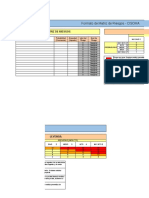 Formato Matriz de Riesgos