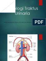 Patologi Ginjal Dan Traktus Urinaria