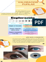 Infografia Valoracion Pupilar