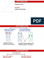 P0ST MENDELISM GENE INTERACTION