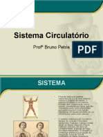 Sistema Circulatório: Profº Bruno Petris