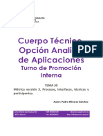 Cuerpo Técnico, Opción Analista de Aplicaciones