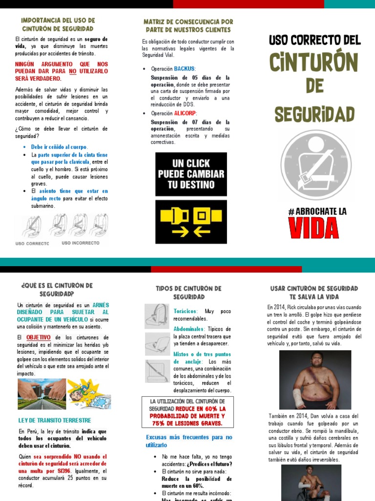 USO OBLIGATORIO DE CINTURON DE SEGURIDAD - Señalización Y Seguridad