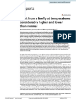 Temperature Dependence On Firefly Flash