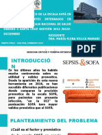 Diapositivas Sofa 08-02-2023 Listo
