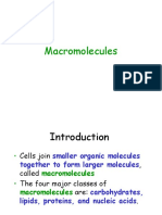 Day 04 - Macromolecules (Carbohydrates)