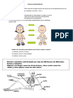 Ciencias - Guia N°1 - 2° Básico 1