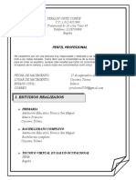 I. Estudios Realizados: Perfil Profesional