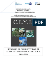 C.E.Y.E: Bitácora de Productividad de Autoclave de Servicio de C.E.Y.E. 2022 - 2023