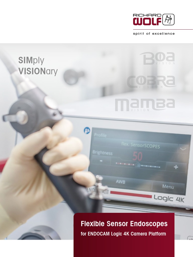 D712en221121 Flex Sensor Endoscopes ENDOCAM Logic4K | PDF | Information ...