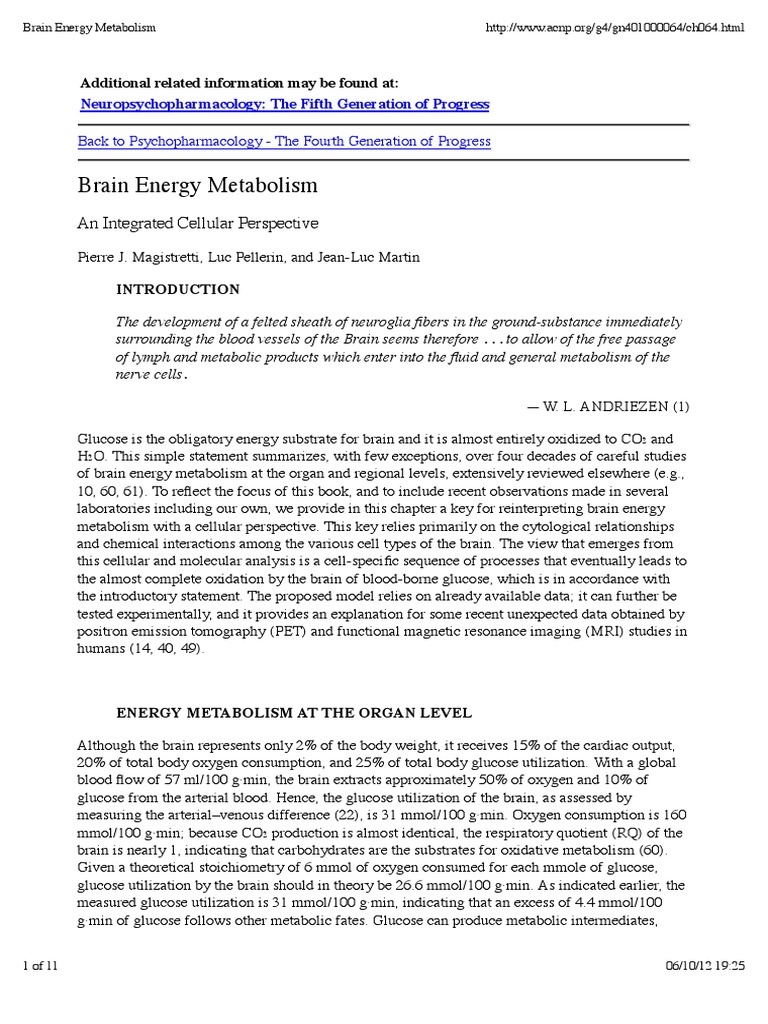 Brain Energy Metabolism Insights Pdf Self Improvement Wellness