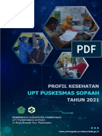 Profil Kesehatan Puskesmas Sopaah 2021