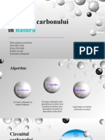 Circuitul Carbonului În: Natură