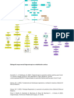 Mapa Oxigenoterapia en RC