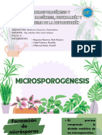 Microsporogenesis y Megasporogenesis, Fecundación y Mecanismo de La Reproducción