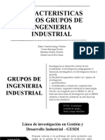 Caracteristicas de Los Grupos de Ingenieria Industrial