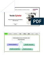 Tecidos epiteliais: características e tipos