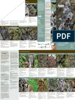 2022 South West Lobarion Lichen Guide
