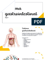 Sistema Gastrointestinal: Grupo 4