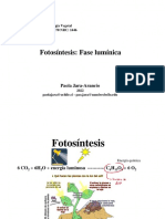 Clase 3 - Fotosíntes