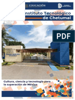 Instituto Tecnológico: de Chetumal