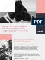 Descubra Más Sobre La Salud Renal, Incluyendo La SDMA, Con Estos 5 Perfiles de Pacientes Desde Ahora