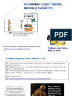 Genomas Eucariotas: Organización, Regulación y Evolución: Profesor José Pardo. Abril de 2020
