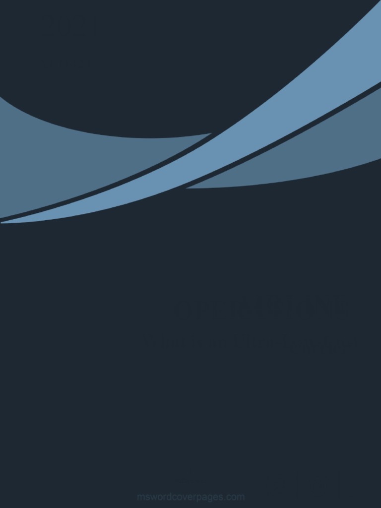 Understanding the Business Model and Economic Impact of UltraLowCost