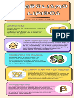 METABOLISMO DE LIPIDOS Infografia