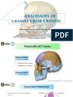 Cráneo+en+General Base+del+Cráneo Anatomía+Integrada+UdeC