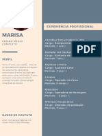 Marisa: Experiência Profissional