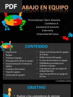 Trabajo en Equipo