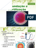 Fecundacao e fertilizacao final