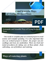 WEEK 5 Systematic and Scientific Ways of Caring Orchard Trees
