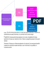 Exquema de Ciencia Sociales