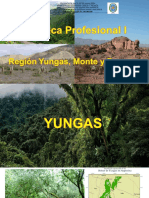 REGION - Yungas - Monte y Prepuna