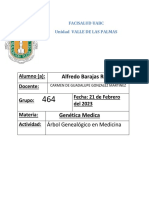 Resumen de Arbol Genealogico