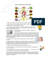 Trabajo Sistema Endocrino