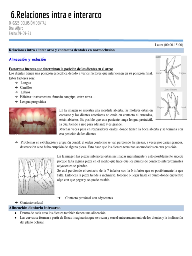 Relaciones intra e interarco dental | PDF | Odontología | Diente