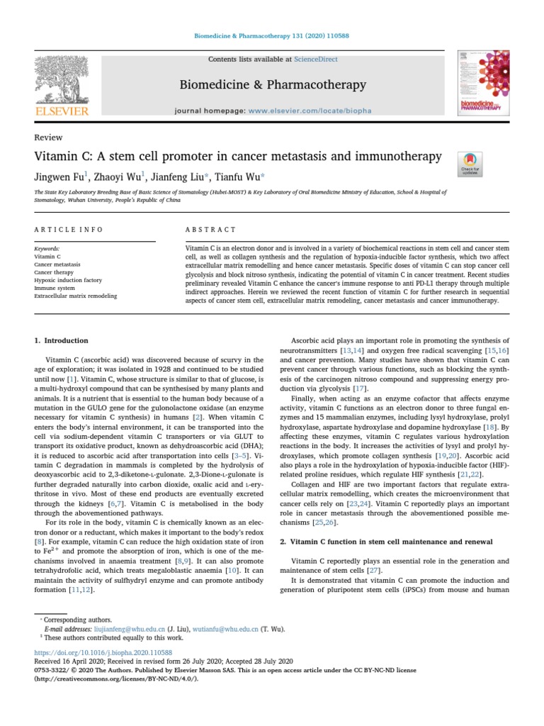Vitamin C_ A stem cell promoter in cancer metastasis and immunotherapy