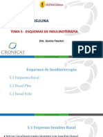 Tema 5 Esquema de Insulinoterapia