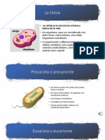 La Célula para Nutrición PDF