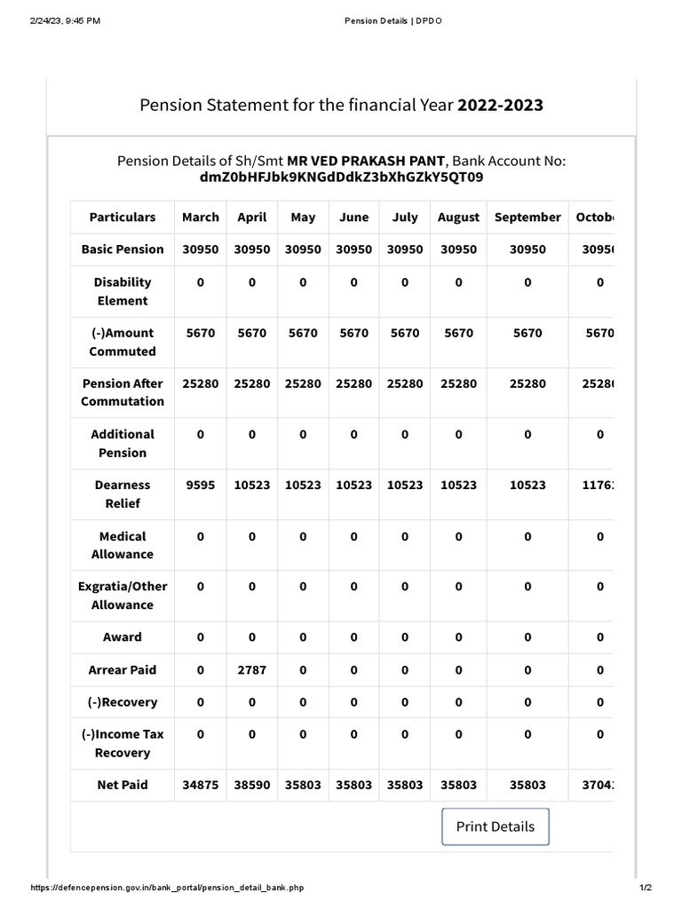 pension-statement-for-the-financial-year-2022-2023-pension-details-of