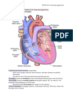 TPJ3M1-03 U5: Heart and Lungs Review