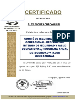 Certificado - Comite de Seguridad-8