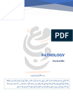 Pathology Practical RR Slides