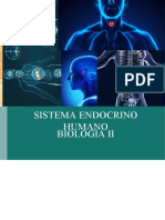 Sistema Endocrino