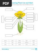 t3 SC 809 Parts of A Flowering Plant Cut and Stick Activity Sheet